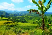 Pemandangan Curug Citambur