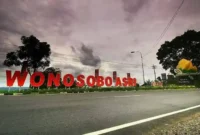 Travel Jogja Wonosobo