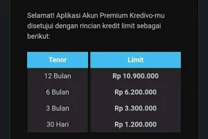 Cara Menaikan Limit Kredivo