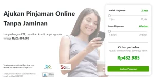 Aplikasi Pinjaman Online Bayar Bulanan