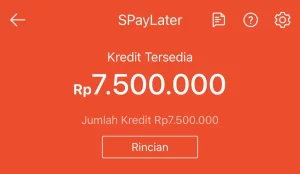 Bunga Spinjam & SpayLater