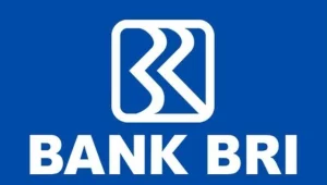 Cara Transfer SMS Banking BRI Ke BNI