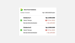 Telat Bayar Indodana