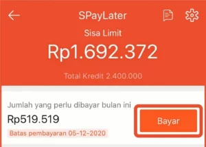 Telat Bayar Shopee Paylater dan Shopee Pinjam