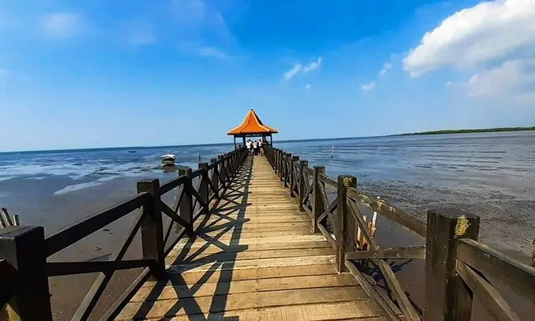 Travel Malang Probolinggo