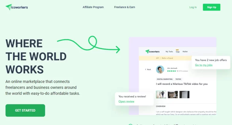 Picoworkers Review