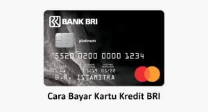 Cara Bayar Kartu Kredit BRI