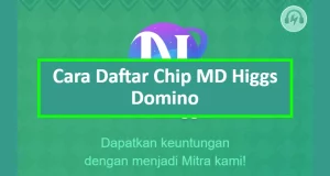 Cara Daftar Chip MD Higgs Domino
