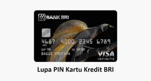 Cara Mengatasi Lupa PIN Kartu Kredit BRI
