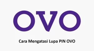 Cara Mengatasi Lupa PIN OVO