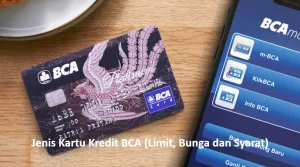 Jenis Kartu Kredit BCA