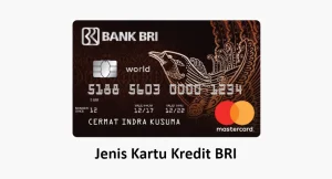 Jenis Kartu Kredit BRI