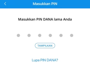 Lupa PIN DANA