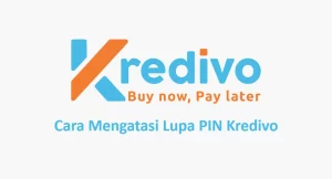 Lupa PIN Kredivo