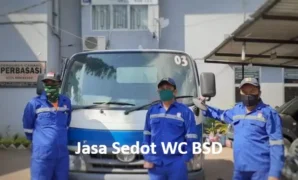 Sedot WC BSD