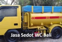 Sedot WC Bali