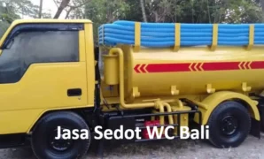 Sedot WC Bali
