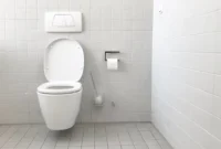 Sedot WC Denpasar