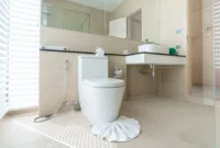 Sedot WC Kelapa Gading