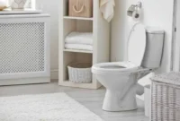 Sedot WC Probolinggo
