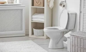 Sedot WC Probolinggo