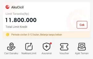 Cara Mengatasi Akulaku Tidak Bisa Cicilan