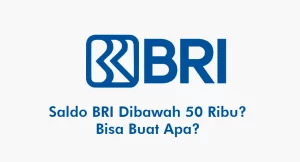 Saldo BRI Dibawah 50Ribu
