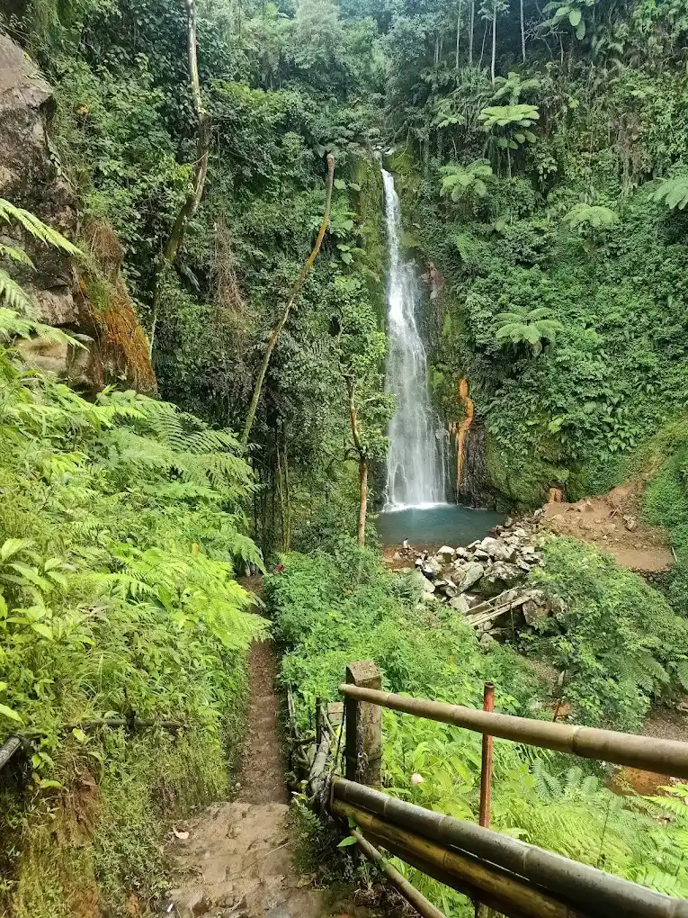 Apa Saja Daya Tarik Curug Goa Lumut Endah