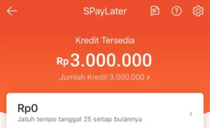 Bagaimana Shopee Paylater Jika Tidak Digunakan