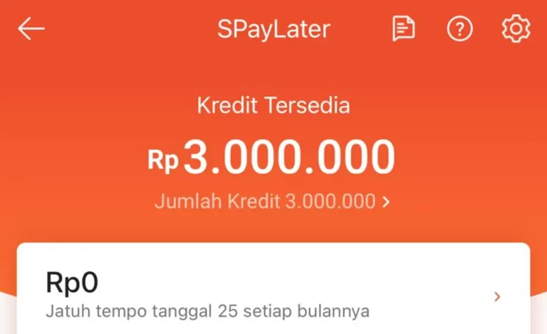 Bagaimana Shopee Paylater Jika Tidak Digunakan