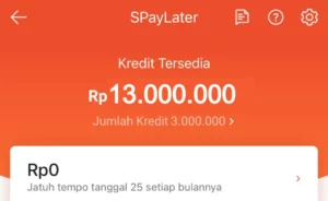 Cara agar Shopee Paylater Disetujui